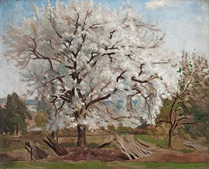 Blooming Prints: Apple Tree in Blossom, 1877. Creator: Carl Fredrik Hill