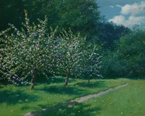 1899 Prints: Apple-Trees in Bloom, 1899. Creator: Stanislaw Witkiewicz