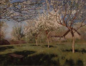 Isaak Ilyich 1860 1900 Gallery: Apple trees blooming. Artist: Levitan, Isaak Ilyich (1860-1900)