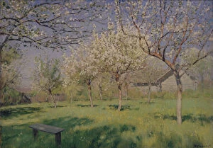 Isaak Ilyich 1860 1900 Gallery: Apple trees blooming, c. 1895. Artist: Levitan, Isaak Ilyich (1860-1900)