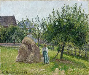 Sunny Prints: Apple Trees in Eragny, Sunny Morning, 1903. Creator: Camille Pissarro