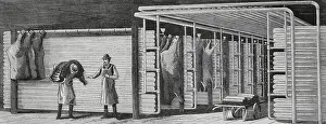 Innovation Prints: Application of cold to industry