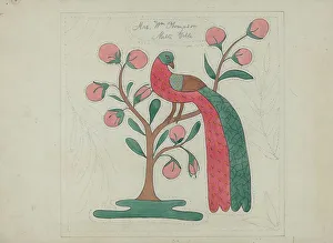 Quilt Prints: Applique Quilt, c. 1936. Creator: Mildred Prince
