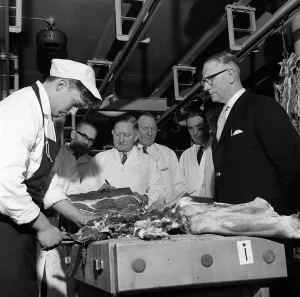 Apprentice butcher showing his work to competition judges, Barnsley, South Yorkshire, 1963