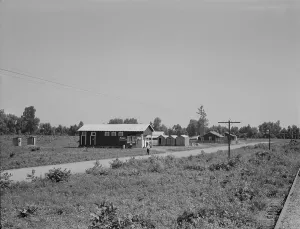 Hillhouse Prints: Approach to the Delta cooperative farm from highway