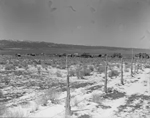 Timber Gallery: Approach to the town, Widtsoe, Utah, 1936. Creator: Dorothea Lange