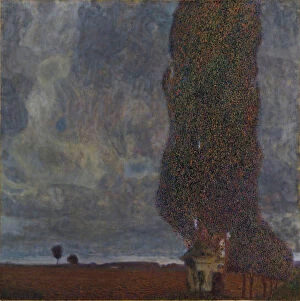 Shower Collection: Approaching Thunderstorm (The Large Poplar II), 1903. Artist: Klimt, Gustav (1862-1918)