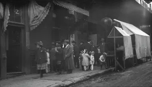 Stall Prints: Apricot Spring Orchard drugstore