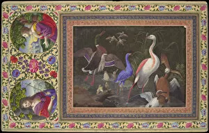 Mallard Gallery: Aquatic Birds at a Pool, Folio from the Davis Album, 18th century. Creator: Unknown