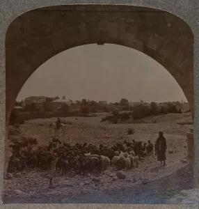 West Bank Prints: Aqueduct showing Jericho through Arch, c1900