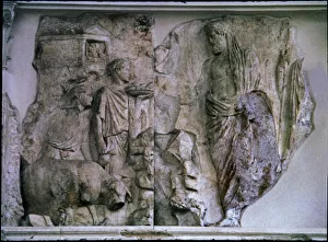 Italy Lacio Prints: Ara Pacis Augustae, relief depicting the sacrifice of Aeneas, 9 b. C