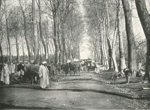 Poulton And Co Prints: Arab fair and market, Boufarik, Algeria, 1895. Creator: Poulton & Co