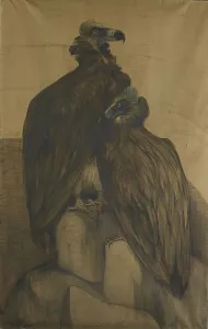 Arabian Prints: Two Arabian Vultures, 1885-1917. Creator: Theo van Hoytema