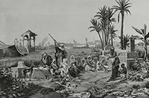 Palm Trees Prints: Arabic customs: a snake charmer, 1883