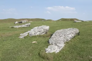 Arbor Low, 2006. Creator: Ethel Davies