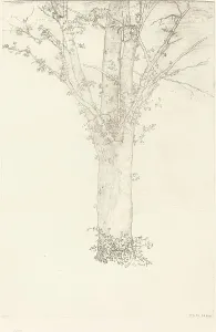 Redon Odilon Prints: Arbre (Tree), 1892. Creator: Odilon Redon