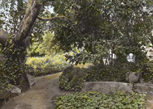 Arcady, George Owen Knapp house, Sycamore Canyon Road, Montecito, California, 1917. Creator: Frances Benjamin Johnston. Arcady, George Owen Knapp house, Sycamore Canyon Road, Montecito, California, 1917