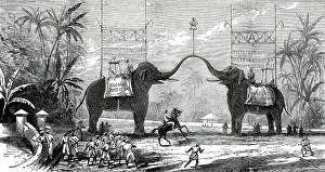Ceylon Sri Lanka Prints: Arch at Colombo, Ceylon, on the occasion of the Royal Visit