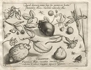 Archetypes and Studies: What can emerge in keeping with such a cavernous promise?, 1592