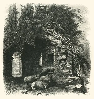 Sir Walter Collection: Archway, Kenilworth Castle, c1870