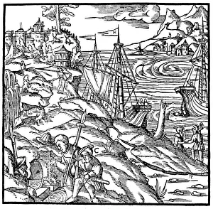 Jason And The Argonauts Collection: The Argonauts finding the Golden Fleece, 1556