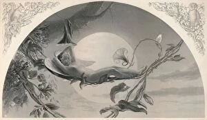 Mythical Creature Collection: Ariel (The Tempest), c1870. Artist: Henry James Townsend
