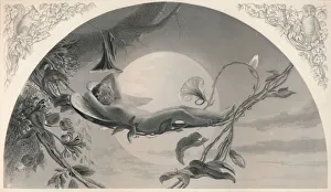 Ariel (The Tempest), c1870. Artist: Henry James Townsend