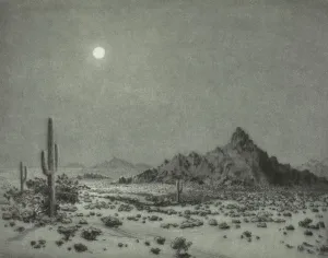 Moonlit Prints: Arizona Night, 1930. Creator: George Elbert Burr