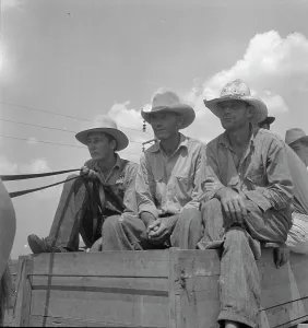 Sharecropper Prints: Arkansas sharecroppers going home