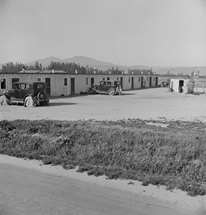 Arkansawyers auto camp... with Arkansas migrants, Greenfield, Salinas Valley, CA, 1939. Creator: Dorothea Lange