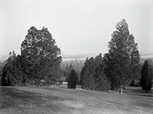 Arlington County Virginia United States Prints: Arlington National Cemetery - View, 1913