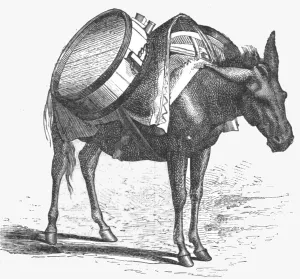 Bates Hw Prints: Armenian baggage animal; The Caucasus, 1875. Creator: Unknown