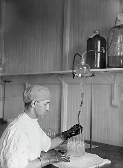 Immunology Prints: Army, U.S. Army Medical School; Typhoid Vaccine
