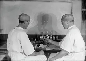 Immunology Prints: Army, U.S. Army Medical School; Typhoid Vaccine