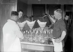 Immunology Prints: Army, U.S. Army Medical School; Typhoid Vaccine