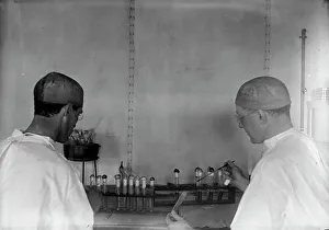 Immunology Prints: Army, U.S. Army Medical School; Typhoid Vaccine