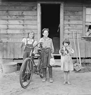 Cats Collection: Three of the four Arnold children, Michigan Hill, Western Washington, 1939. Creator: Dorothea Lange