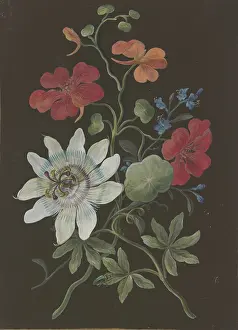 Cut Flower Prints: Arrangement of passionflower (Passiflora)