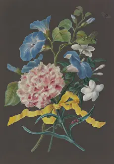 Cut Flower Prints: Arrangement of pink carnations (Dianthus)