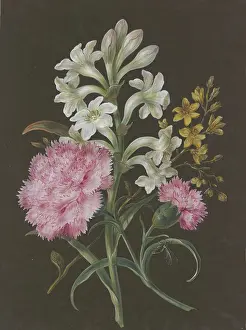 Cut Flower Prints: Arrangement of tuberose (Polyanthes)