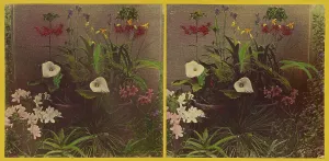 Bw Kilburn Prints: An array of flowers, about 1865-1875. Creator: Benjamin West Kilburn