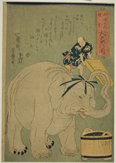 Yokohama Prints: Arrival of the Europeans: The Great Elephant (Yoroppajin torai, Daizo no zu), 1863