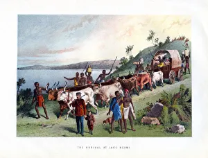 Livingstone Prints: The Arrival at Lake Ngami, 19th century