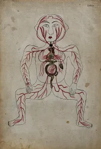 Copy Prints: The arteries of the human body with a foetus in the womb