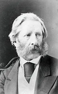 Whiskers Prints: Arthur Hill Hassall. Creator: Unknown