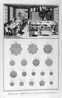 Artificial Gallery: Artificial florist, 1751-1777