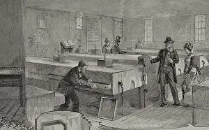 Artificial hatching of hen eggs by the Baker method, incubators room, 1878. Creator: Unknown
