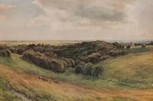 Cecil Reginald Gallery: Arundel Park, 1874. Artist: Thomas Collier