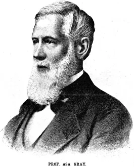 Asa Gray, American botanist, 1888