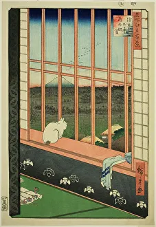 Felines Prints: Asakusa Rice Fields and Torinomachi Festival (Asakusa tanbo Torinomachi mode)